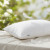 Feather Pillow – 50% Natural Down