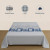 Flat Sheet – Ms. Contradiction B